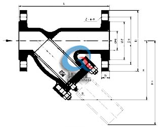 法蘭式Y型過濾器 (結構尺寸圖)